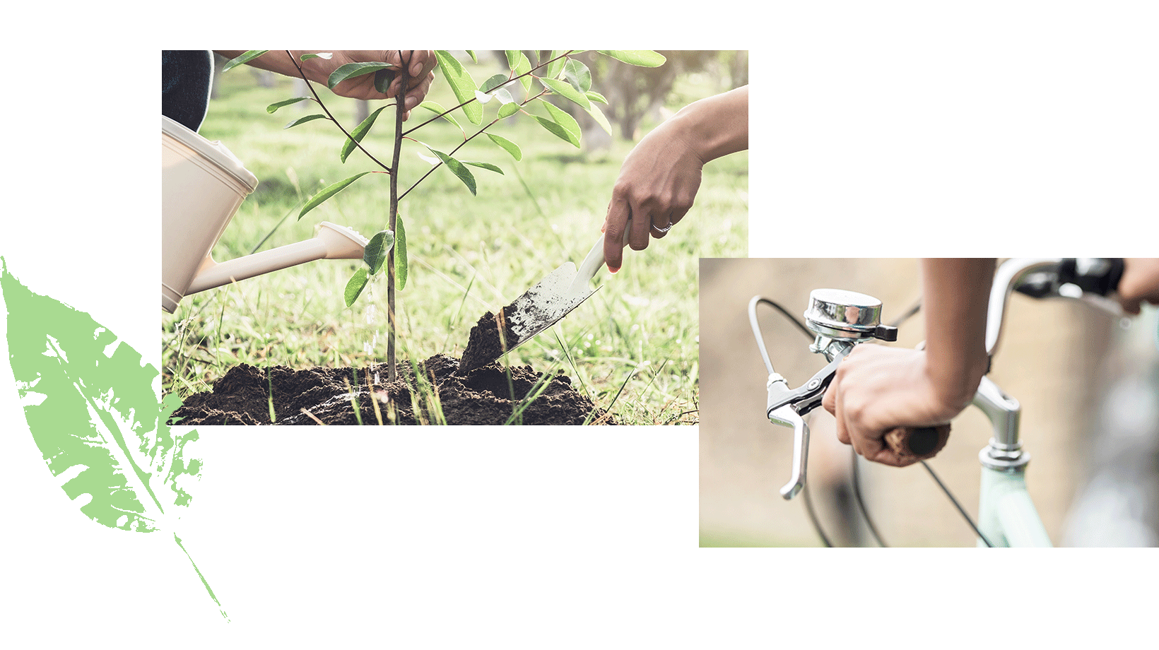 plant-planting-bicycle-riding