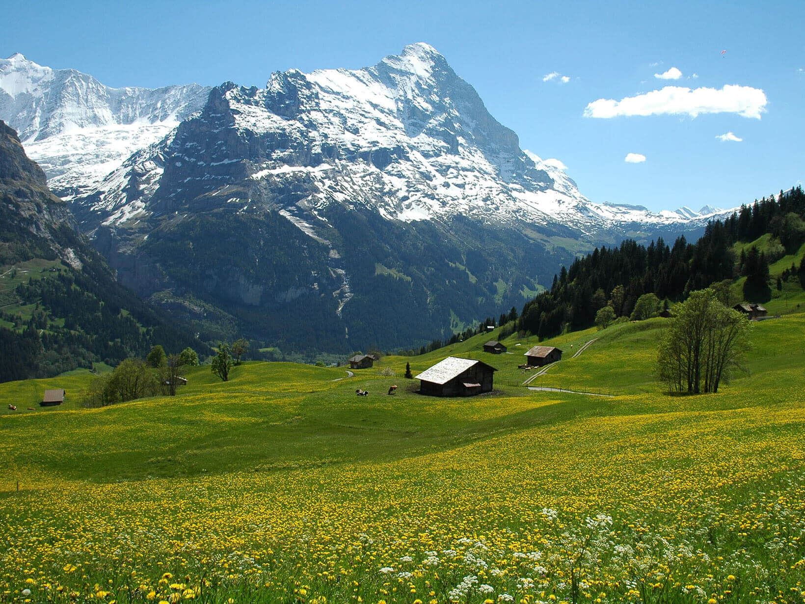 Bort nach Grindelwald